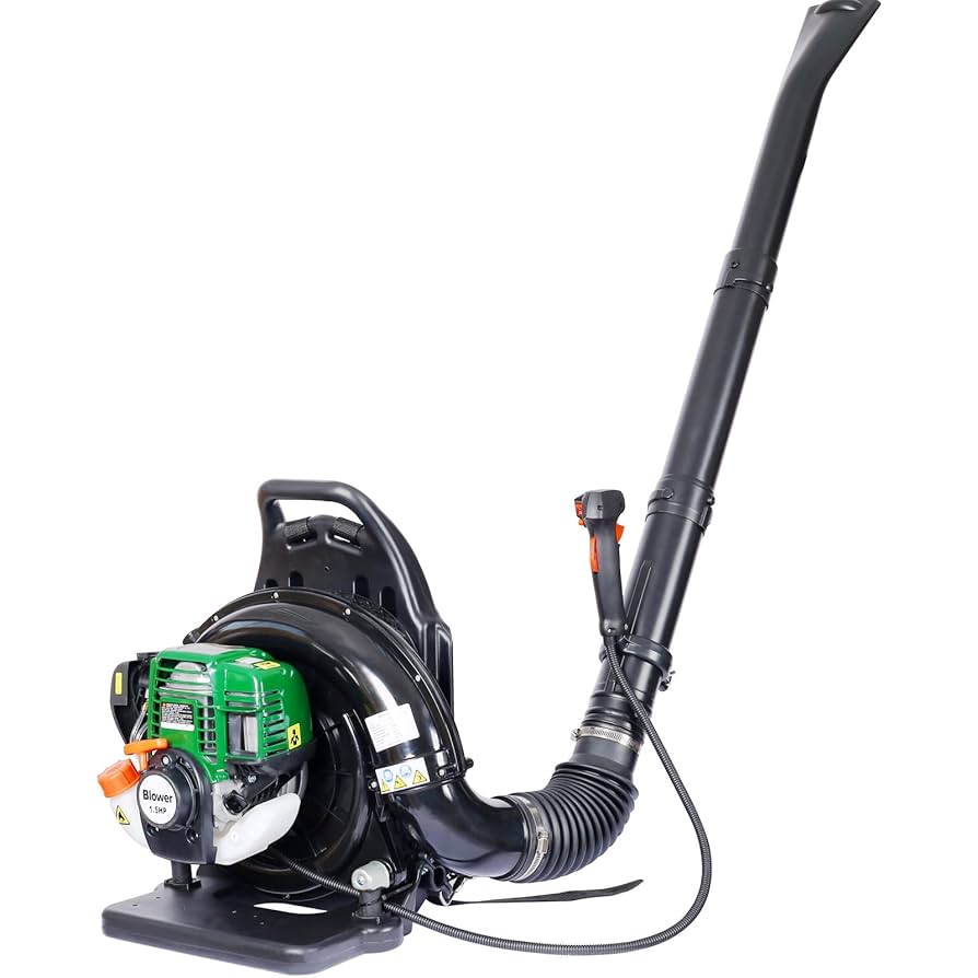 Illustrative example of 4 cycle backpack blower