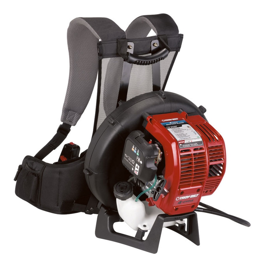 Illustrative example of 4 cycle backpack blower