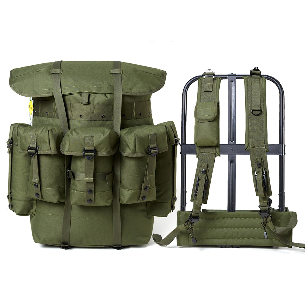 Illustrative example of a.l.i.c.e. backpack frame