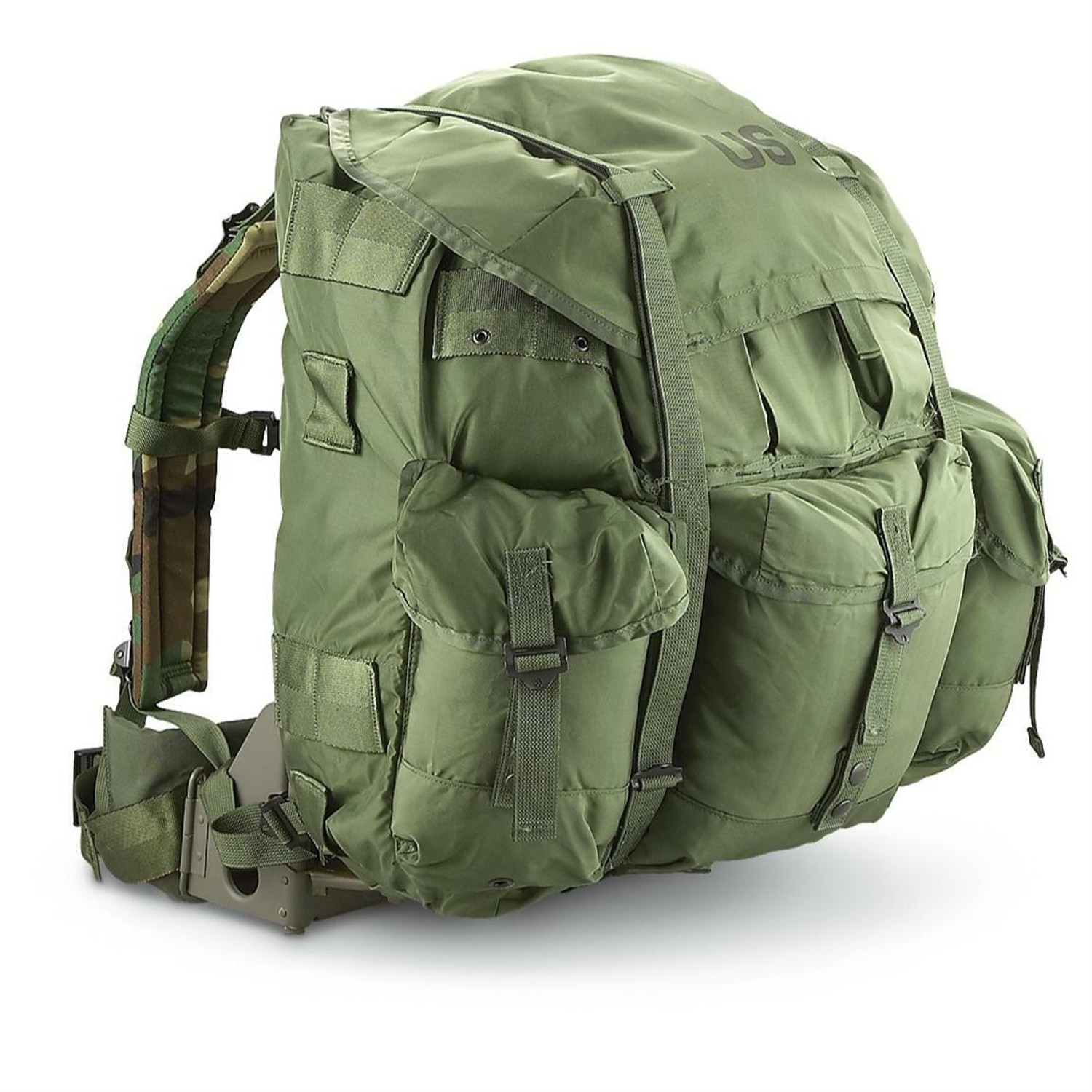 Illustrative example of alice backpack frame