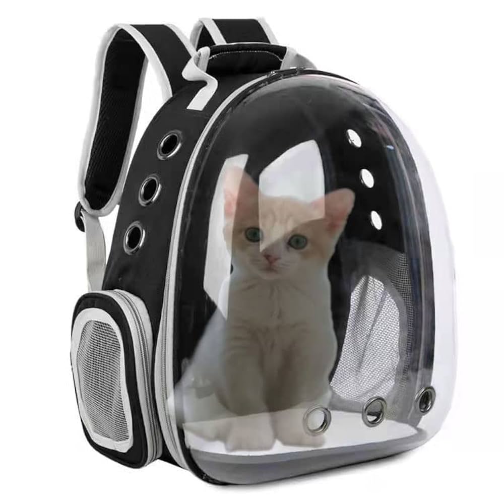 Illustrative example of animal backpack
