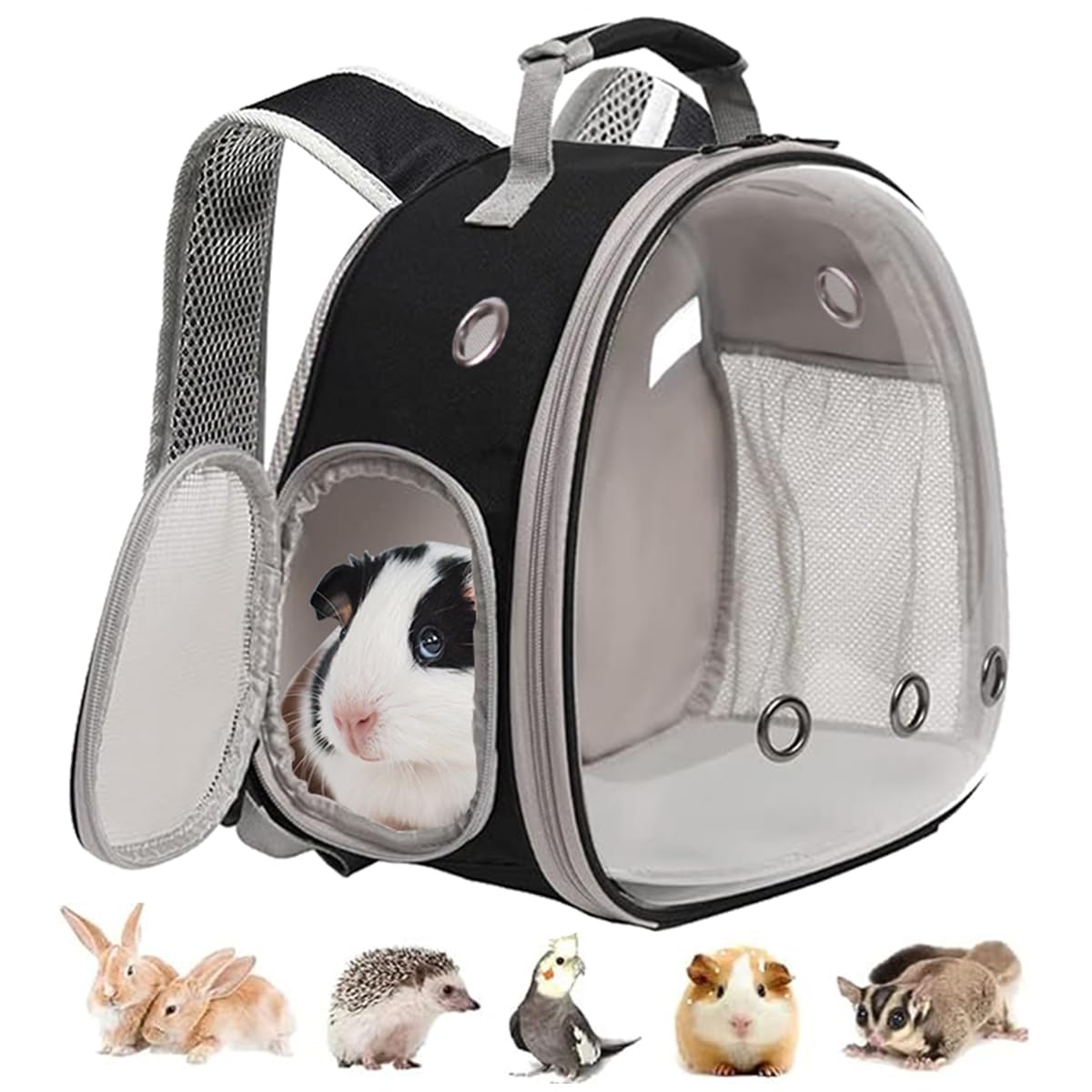 Illustrative example of animal backpack