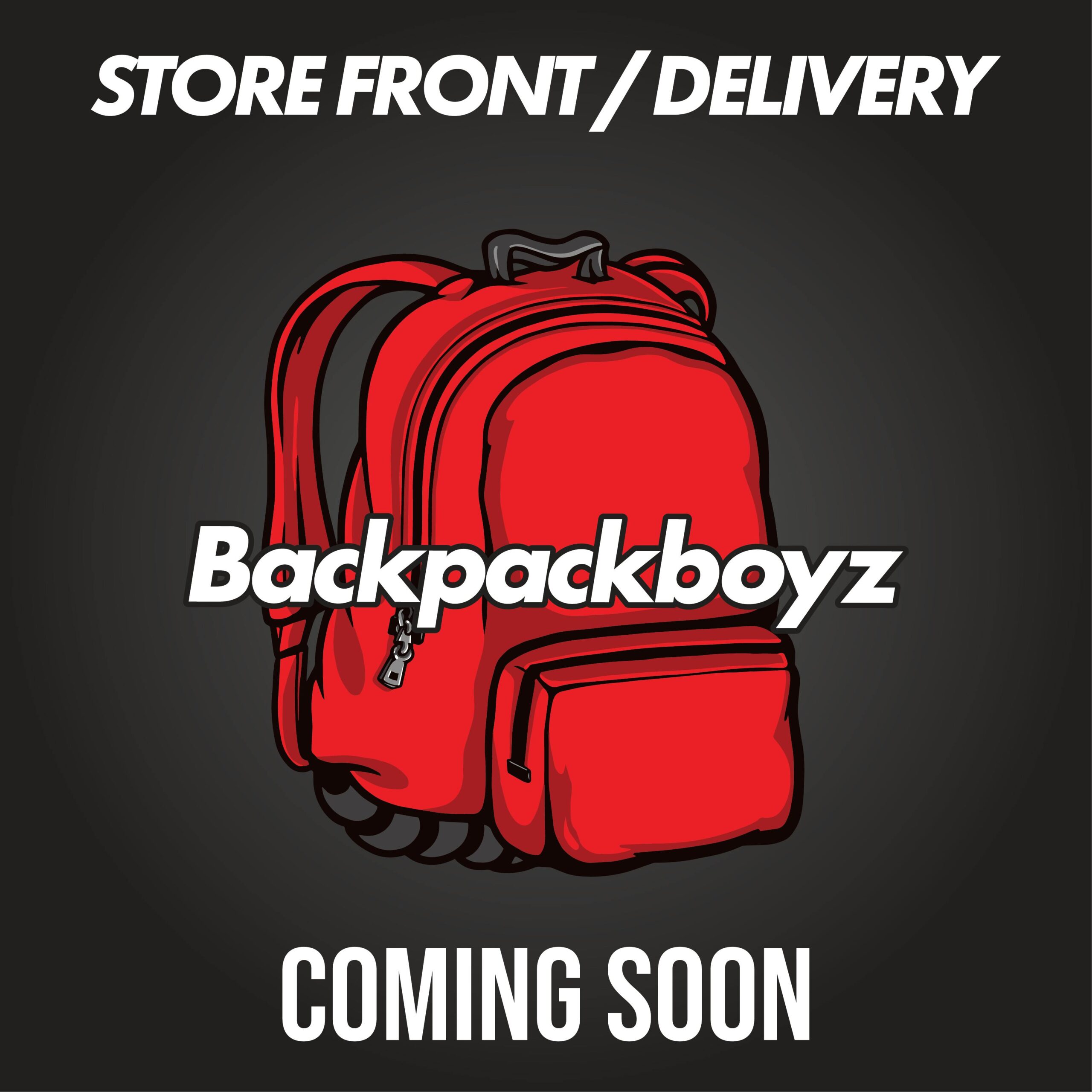 Illustrative example of backpack boyz shipping