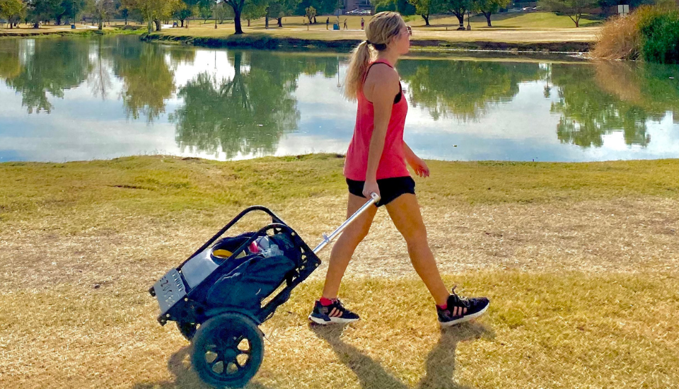 Illustrative example of backpack cart
