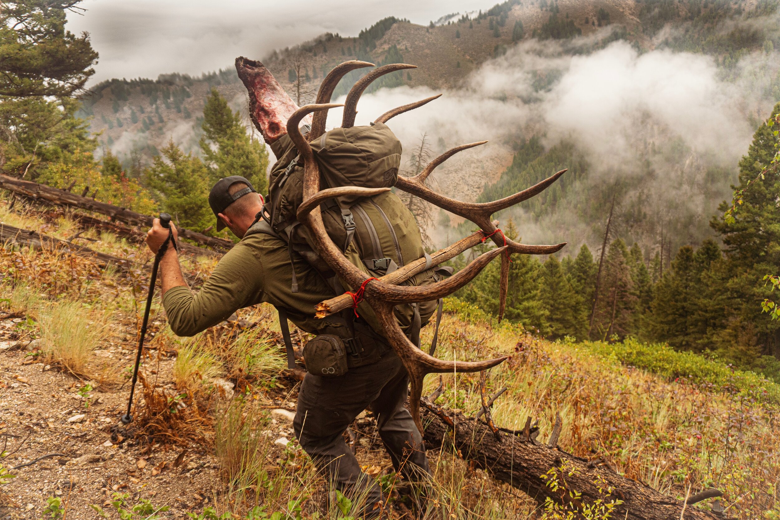 Illustrative example of backpack hunting