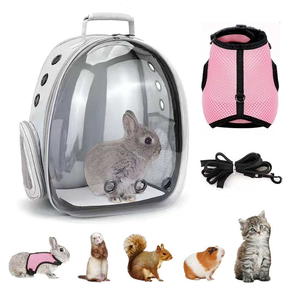 Illustrative example of backpack rabbit