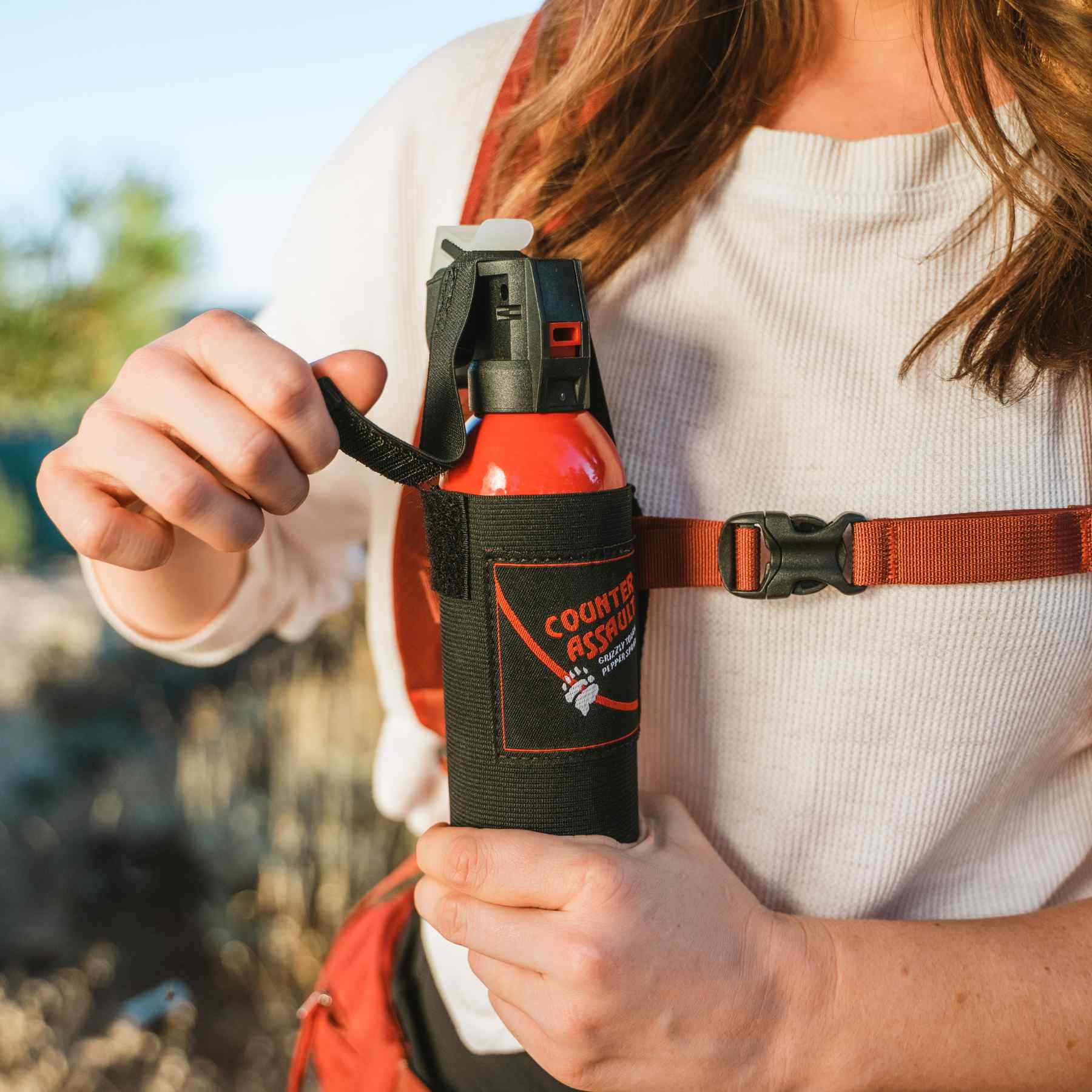 Illustrative example of bear spray holster for backpack