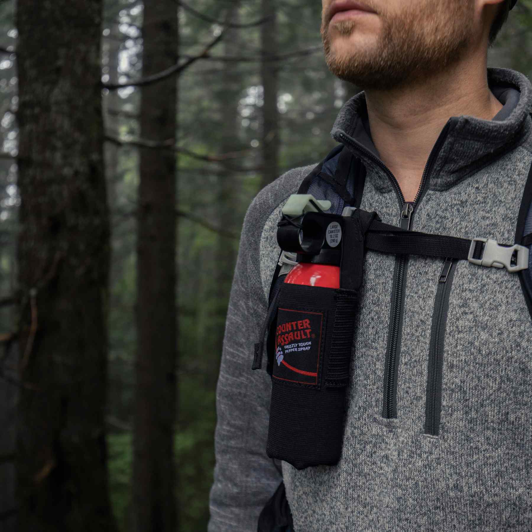 Illustrative example of bear spray holster for backpack
