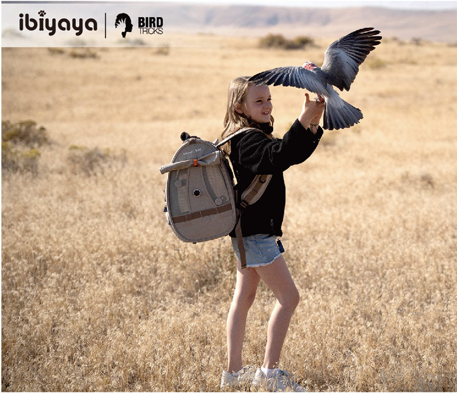 Illustrative example of bird carrier backpack