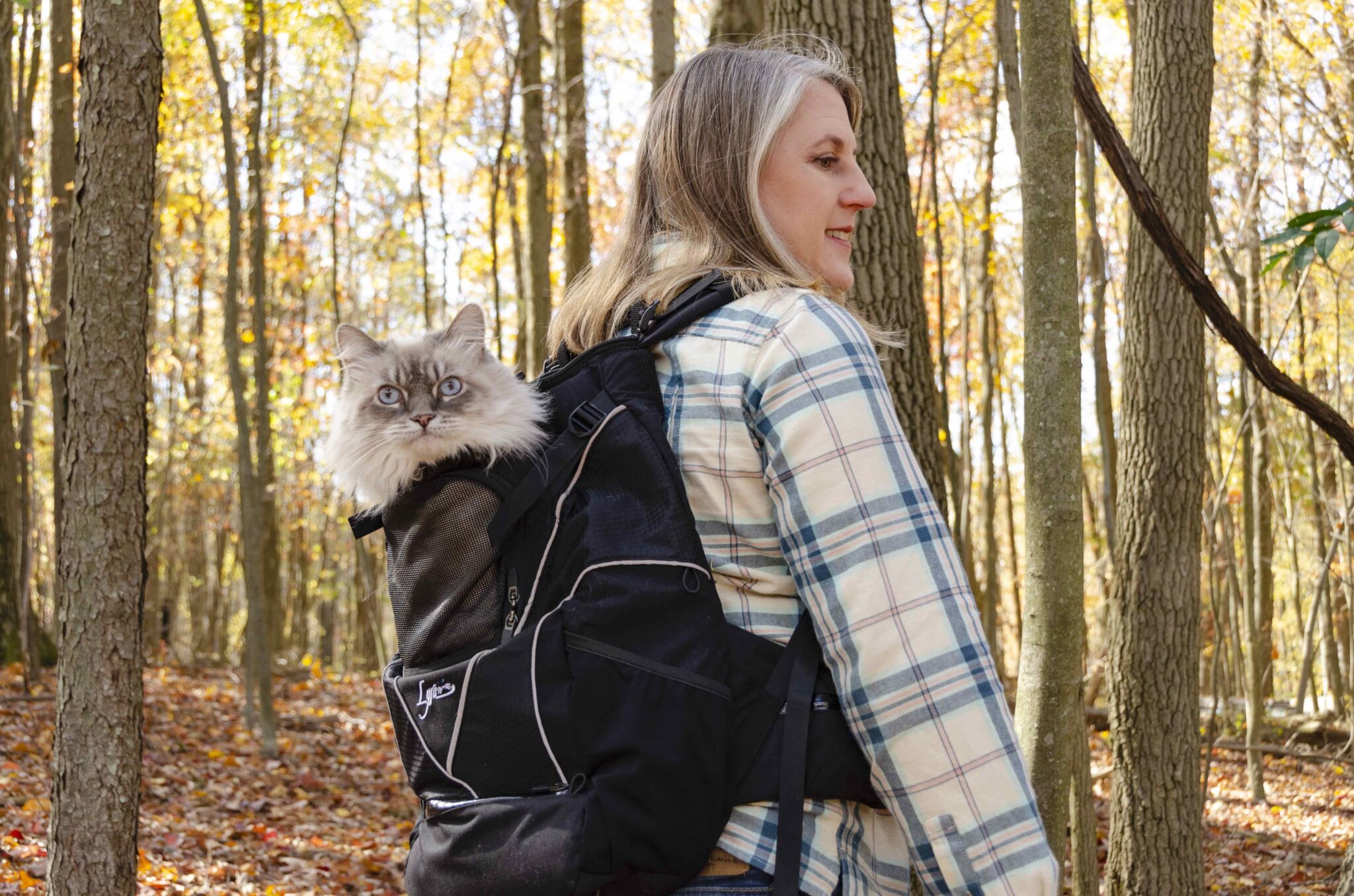 Illustrative example of cat hiking backpack