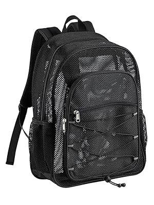 Illustrative example of clear mesh backpack