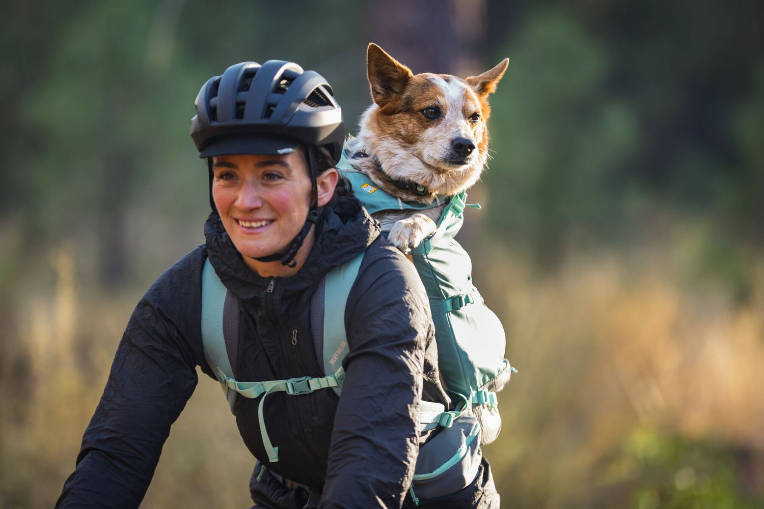 Illustrative example of dog backpack for biking