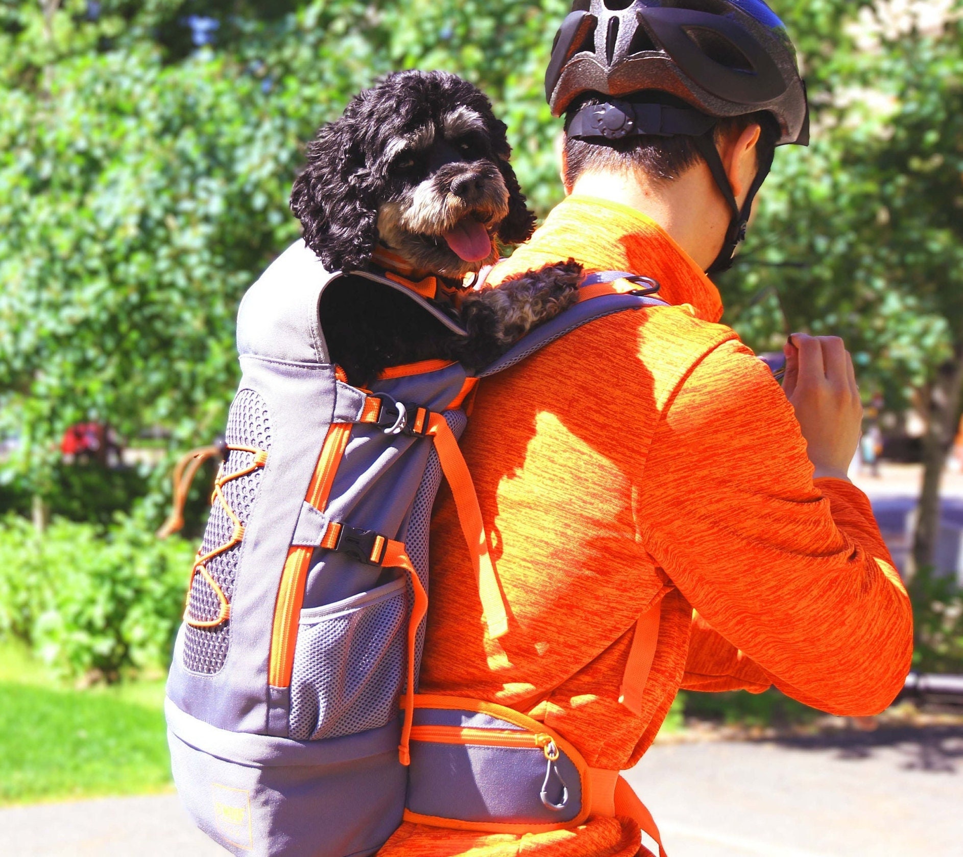 Illustrative example of dog backpack for biking