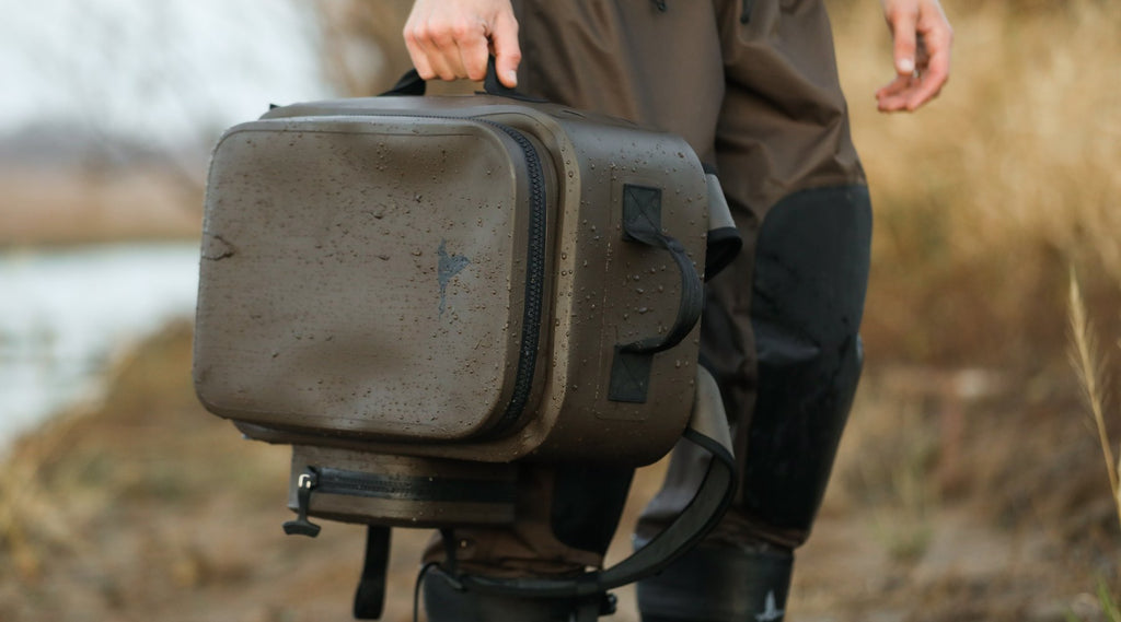 Illustrative example of dr duck backpack