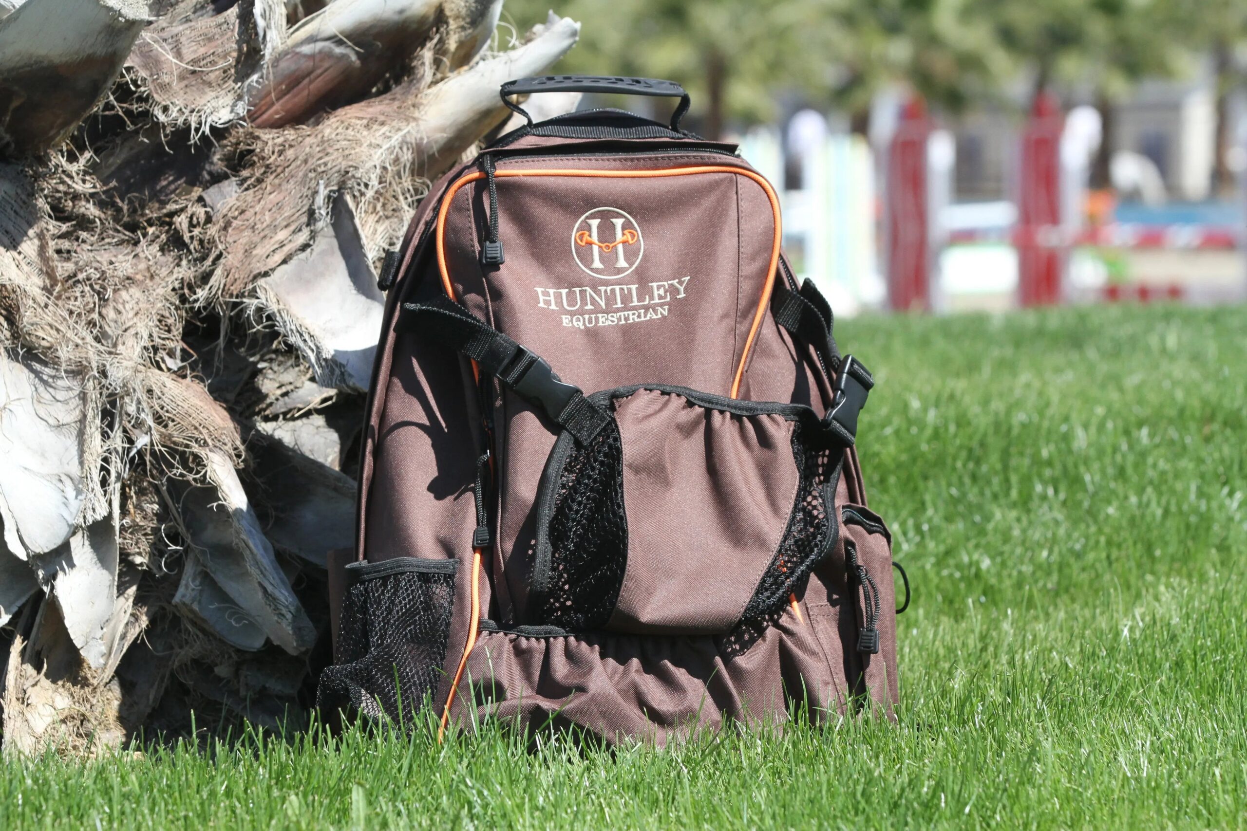 Illustrative example of equestrian backpack