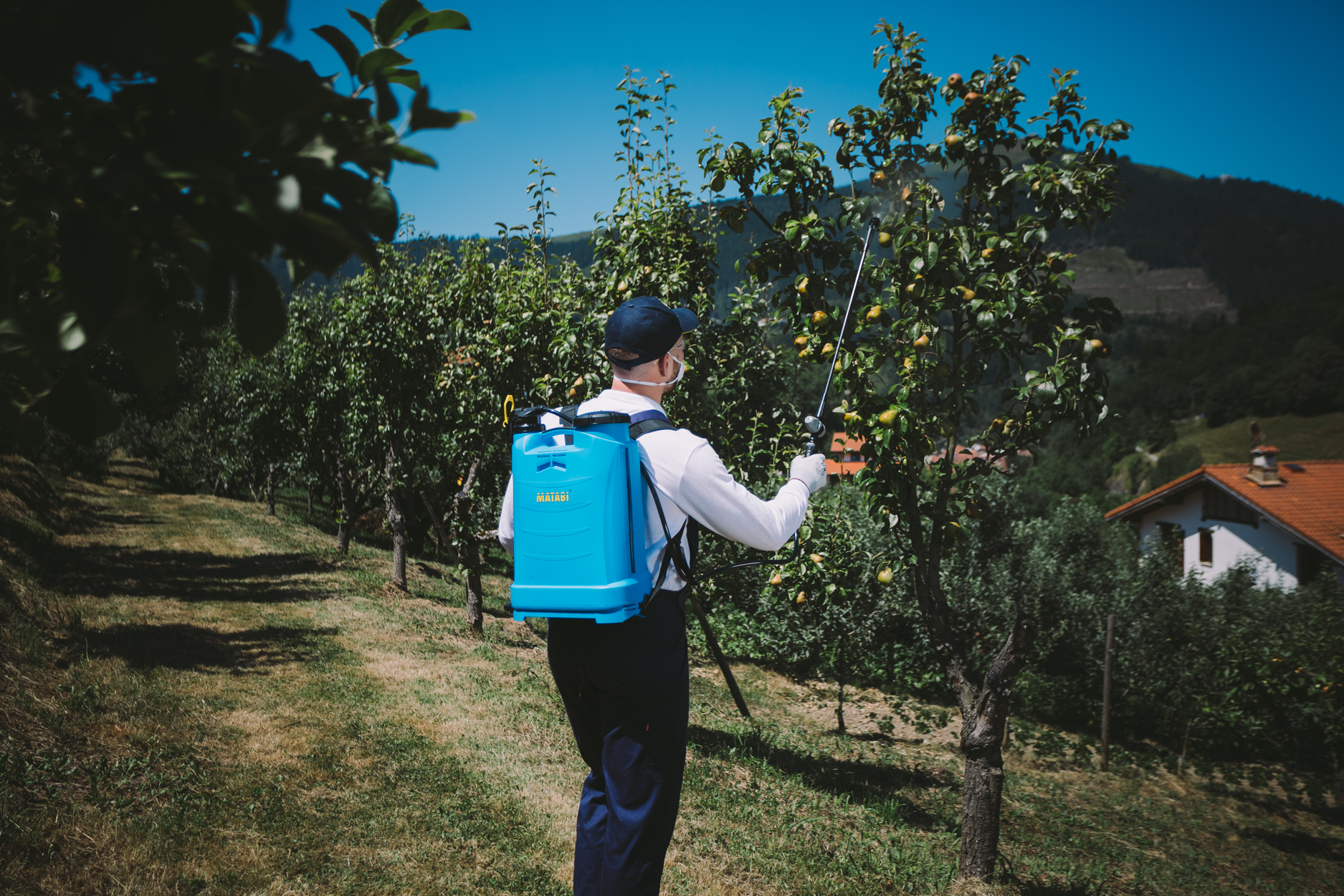 Illustrative example of good backpack sprayer