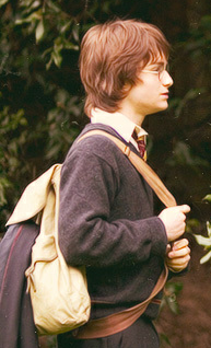 Illustrative example of harry potter backpack