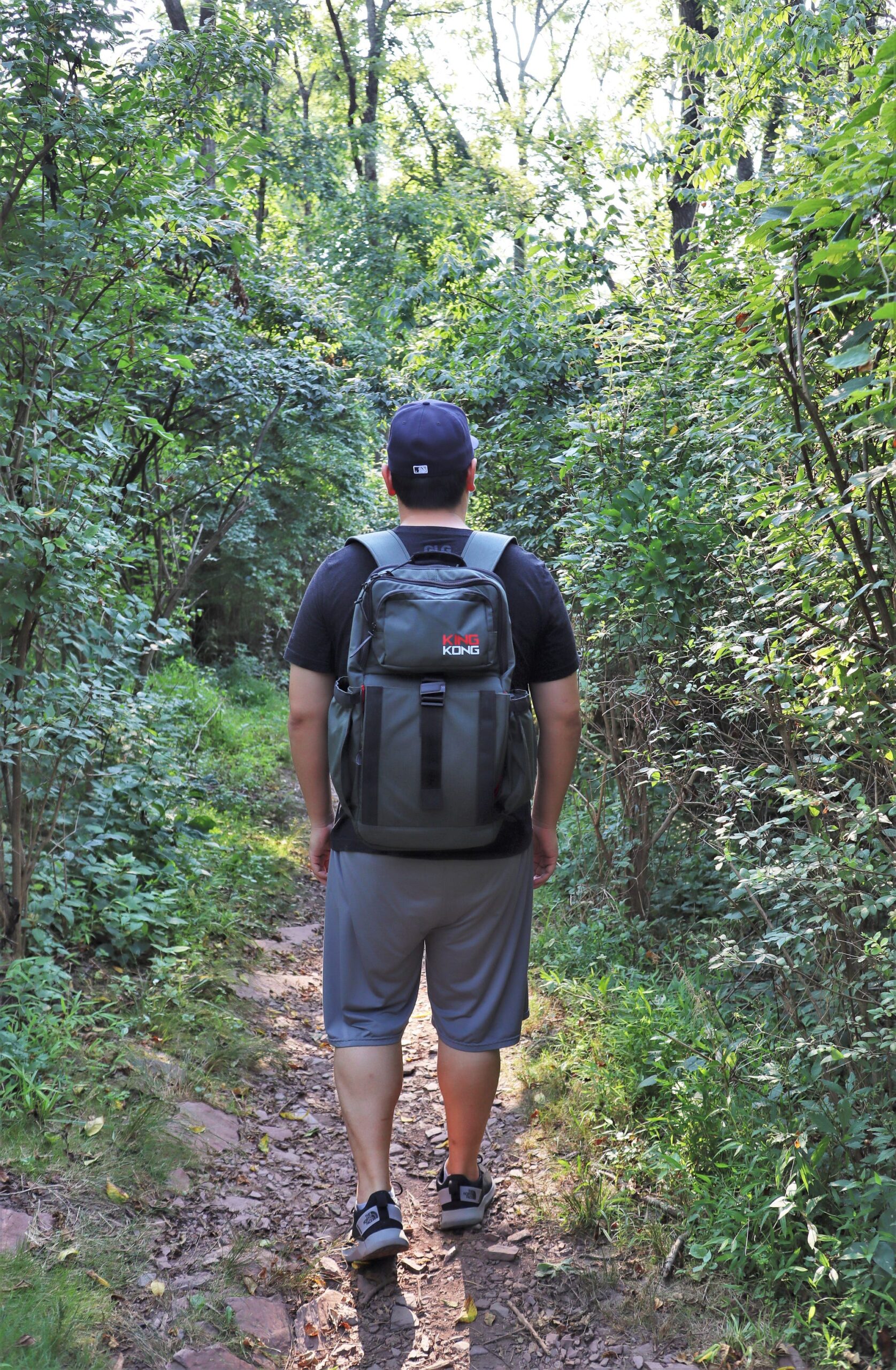 Illustrative example of king kong backpack