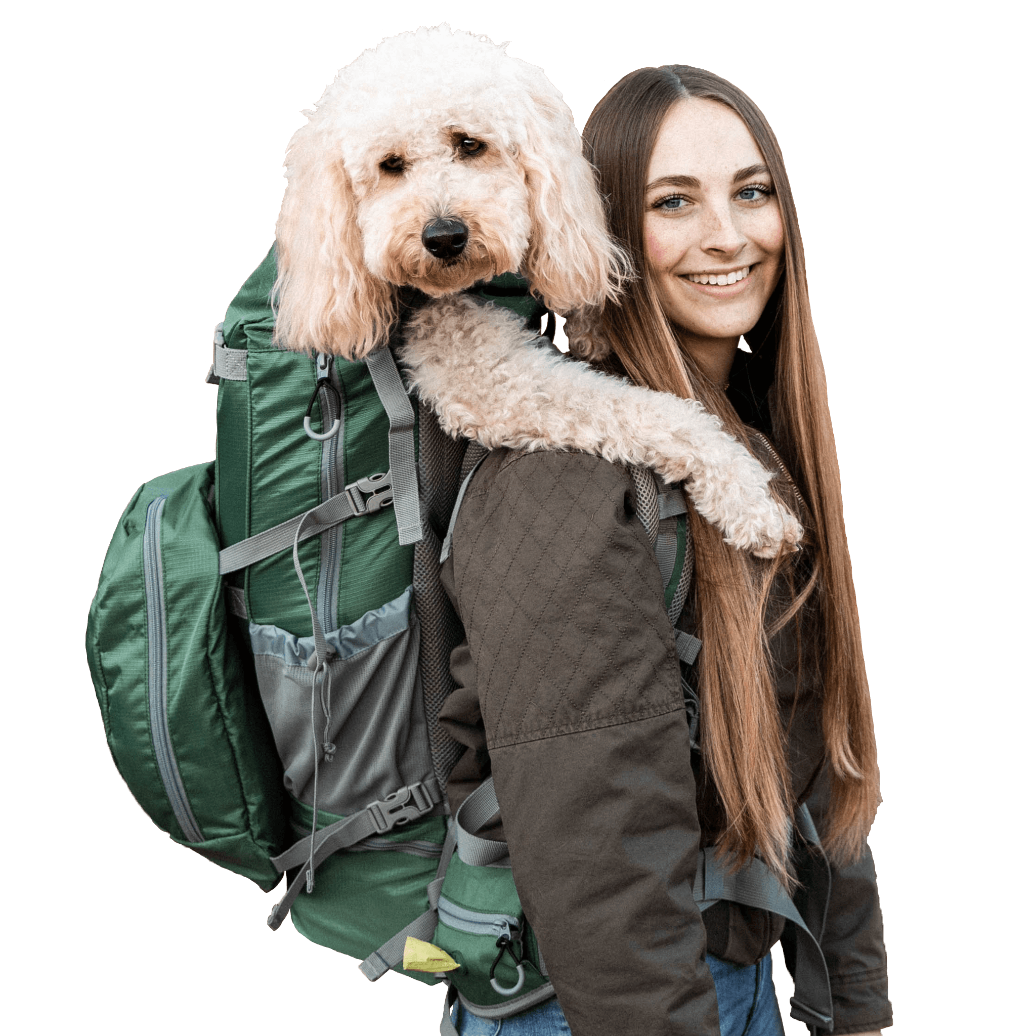 Illustrative example of large dog backpack carrier