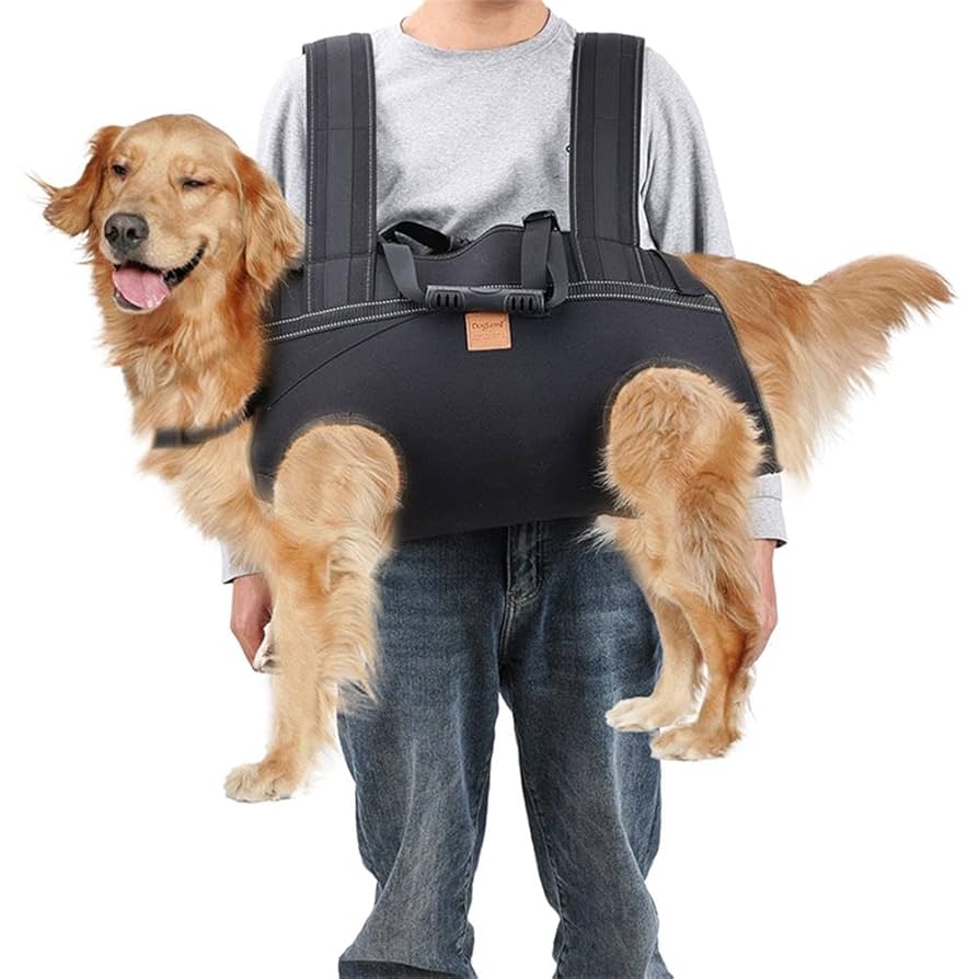 Illustrative example of large dog backpack carrier