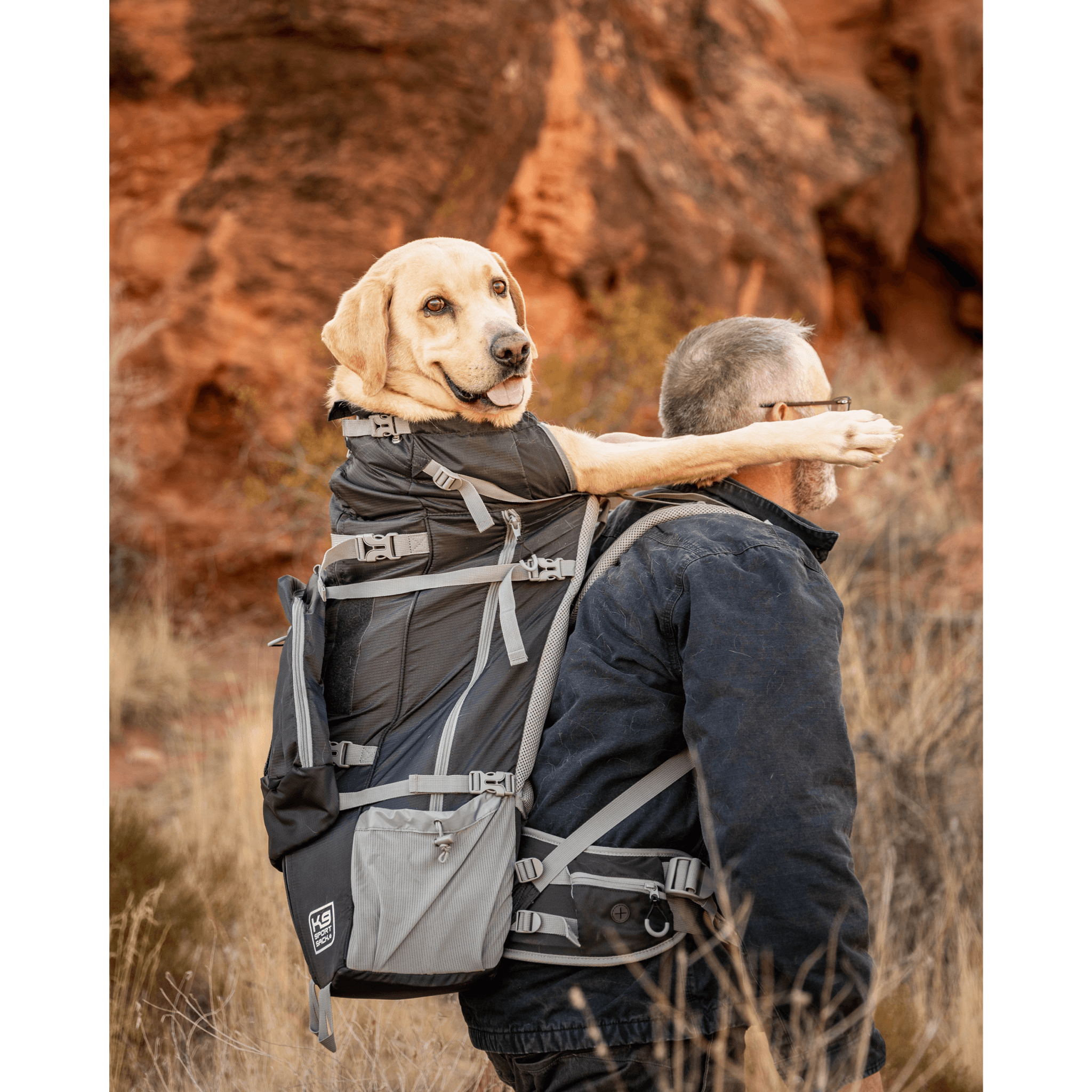 Illustrative example of large dog backpack carrier