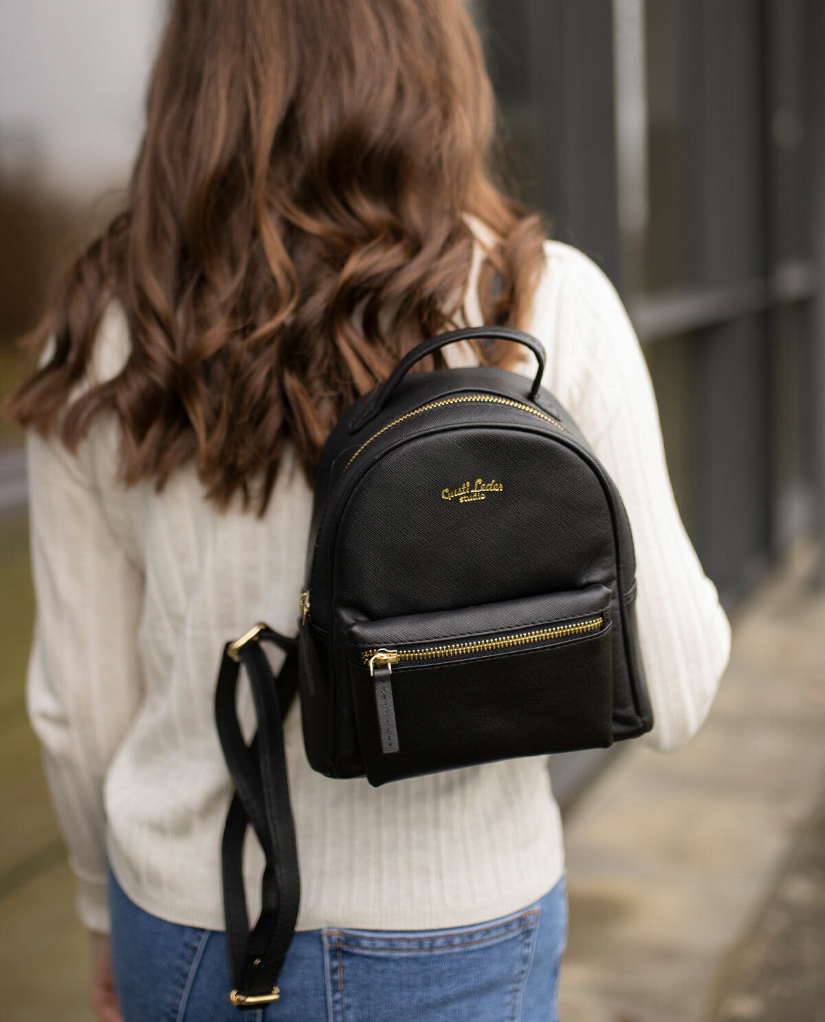 Illustrative example of leather little backpack
