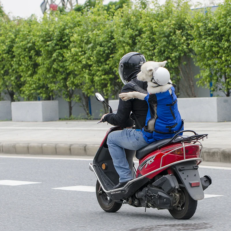 Illustrative example of motorcycle dog backpack