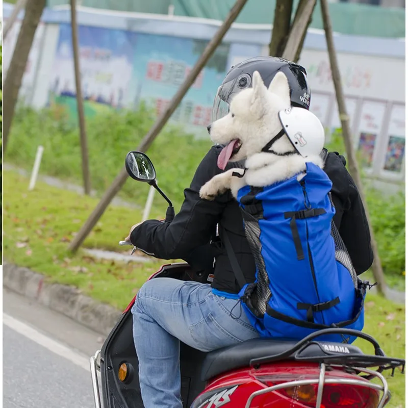 Illustrative example of motorcycle dog backpack
