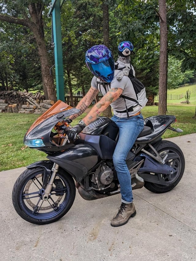 Illustrative example of motorcycle dog backpack