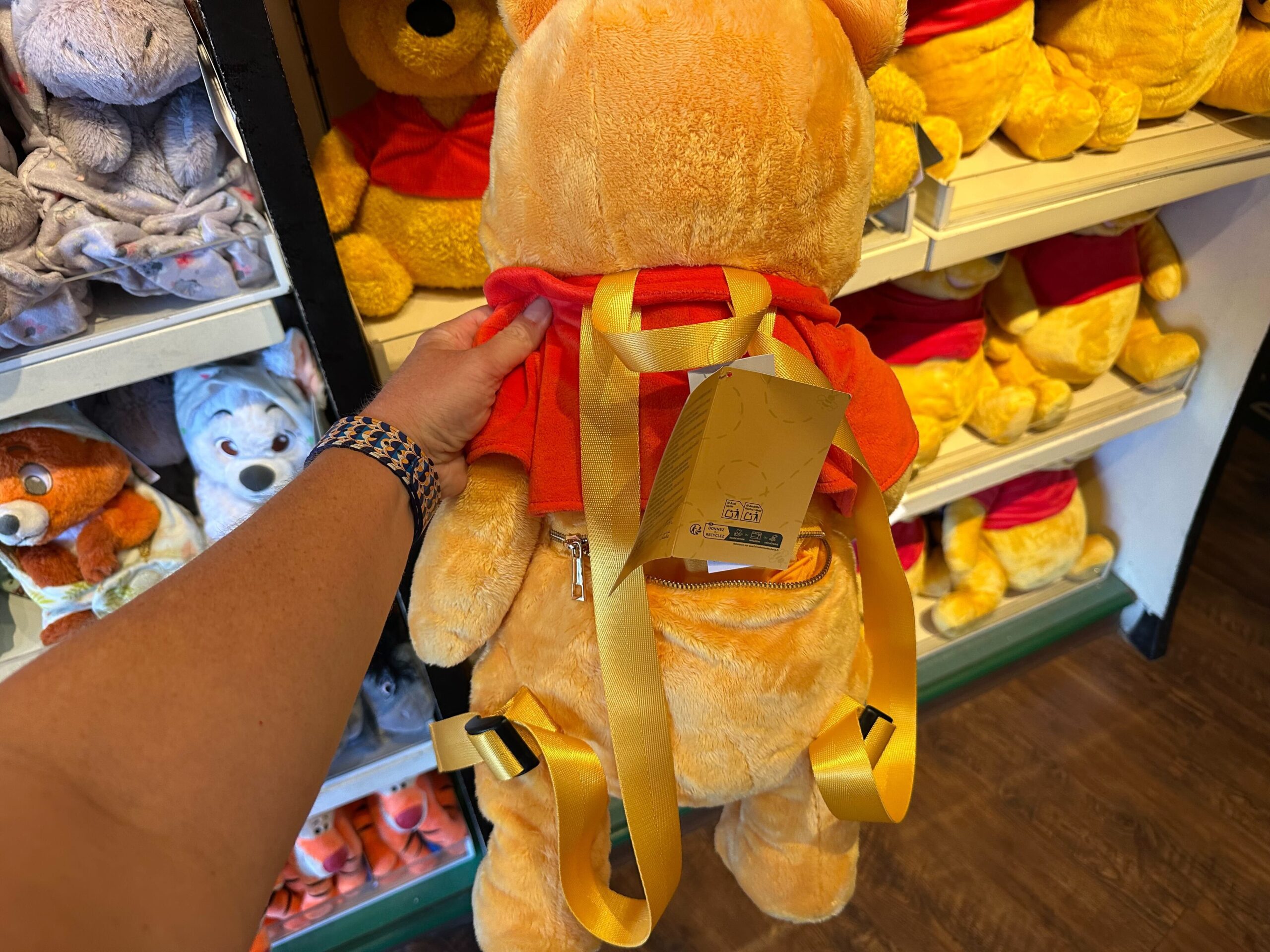 Illustrative example of pooh bear backpack