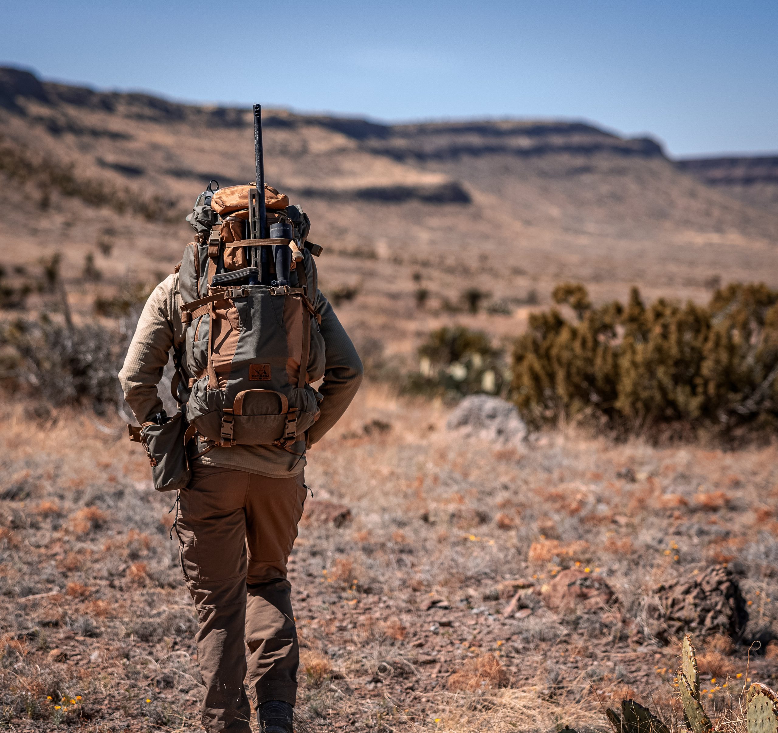 Illustrative example of rifle backpack